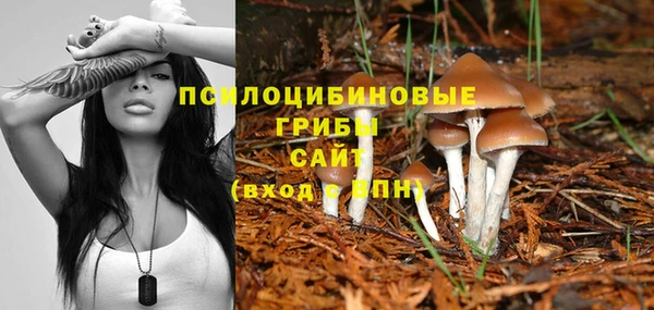 дурь Армянск