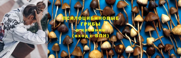 гашишное масло Арсеньев