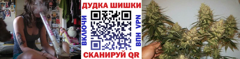 блэк спрут как зайти  как найти закладки  Гаврилов Посад  Каннабис ГИДРОПОН 